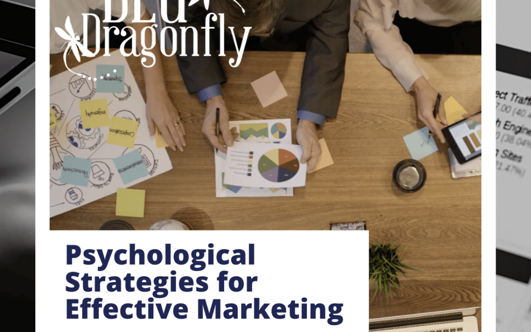 Psychological Marketing Strategies: Video Blog